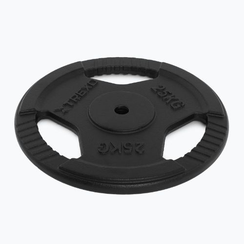 Ketaus apkrova XTREXO TRX-ICP025 25 kg chrom