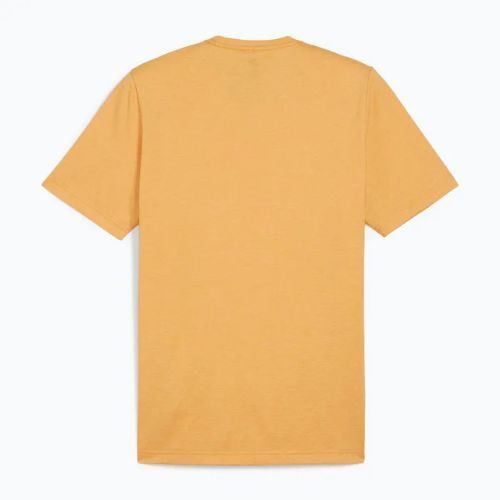 Vyriški marškinėliai PUMA Essentials Heather Tee ginger tea