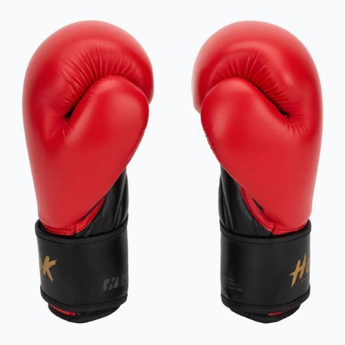 Bokso pirštinės HOOK FIGHTING Ready To Train raudonos
