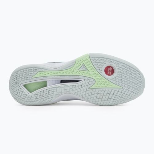 Moteriški rankinio bateliai Mizuno Wave Stealth Neo