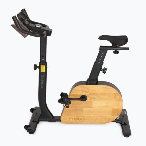 Elektrinis dviratis XTREXO EB400 black