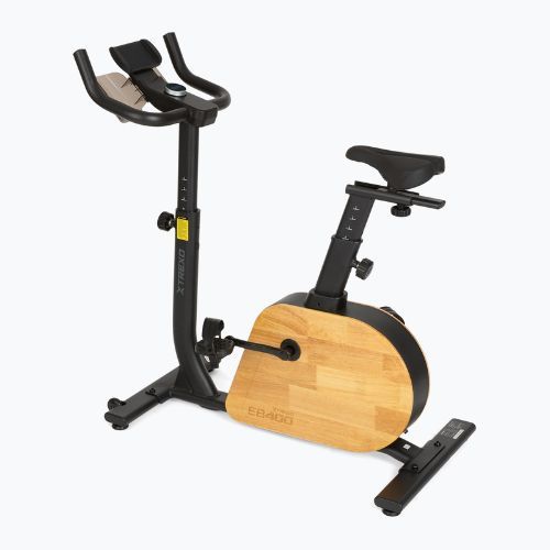 Elektrinis dviratis XTREXO EB400 black