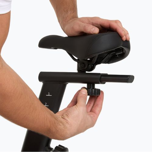 Elektrinis dviratis XTREXO EB400-desk black