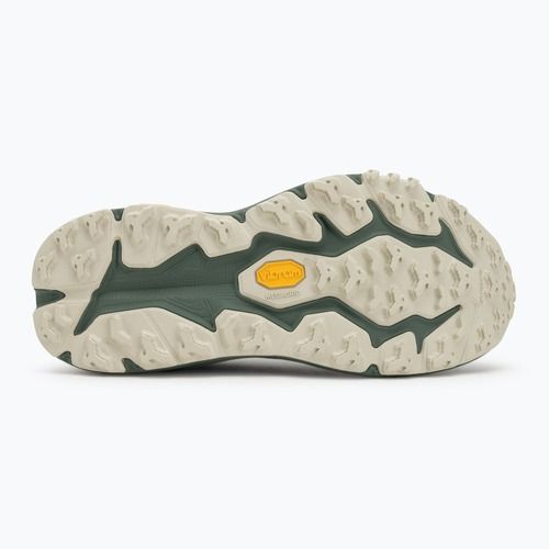 Vyrų bėgimo bateliai HOKA Speedgoat 6 GTX sea flashes/fern