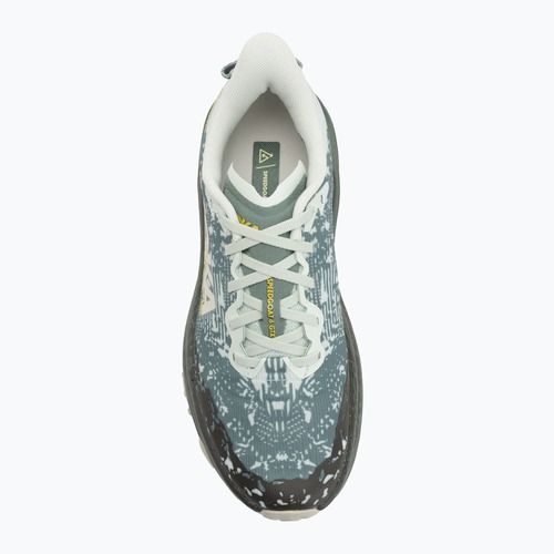 Vyrų bėgimo bateliai HOKA Speedgoat 6 GTX sea flashes/fern