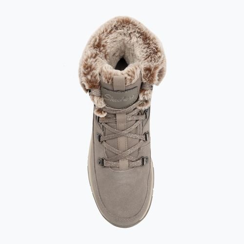 Moteriški batai Skechers Trego Snow Worries mushroom