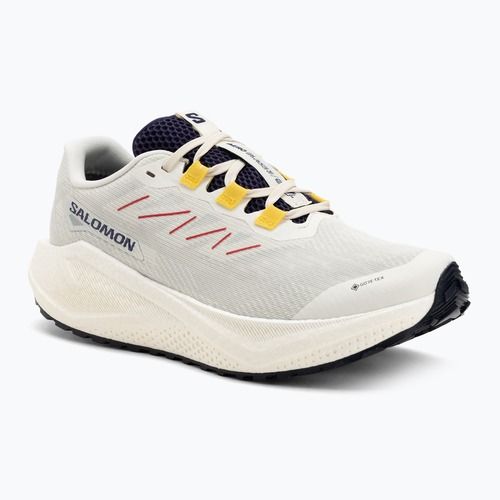 Vyriški bėgimo bateliai Salomon Aero Blaze 3 Gravel GTX vanilla ice/astral aura/lemon