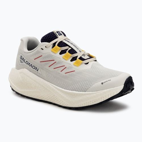 Moteriški bėgimo bateliai Salomon Aero Blaze 3 Gravel GTX vanilla ice/astral aura/lemon