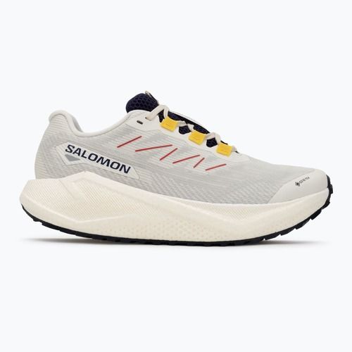 Moteriški bėgimo bateliai Salomon Aero Blaze 3 Gravel GTX vanilla ice/astral aura/lemon
