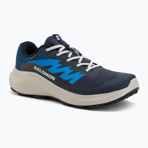 Vyriški bėgimo bateliai Salomon Alphaglide GTX blue night/lunar rock/french blue