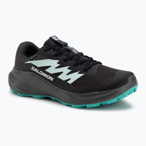 Moteriški bėgimo bateliai Salomon Alphaglide GTX hantom/urban chic/waterfall