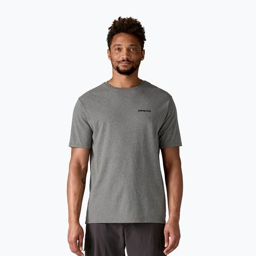 Vyriški marškinėliai Patagonia Fitz Roy Icon Responsibili-Tee gravel heather