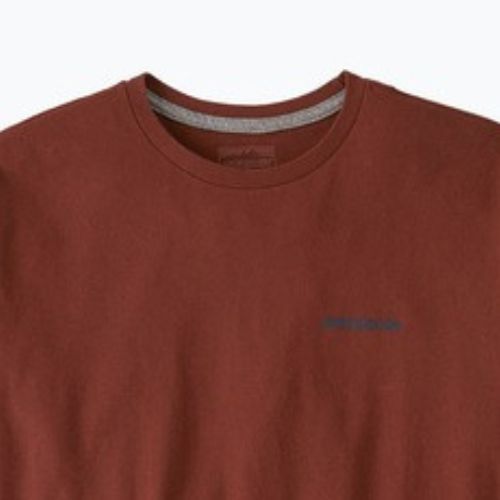 Vyriški marškinėliai Patagonia Fitz Roy Icon Responsibili-Tee dried vanilla