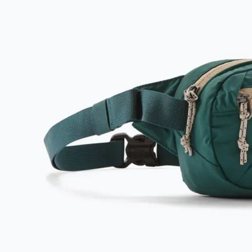 Krepšys ant juosmens Patagonia Terravia Mini Hip cascade green