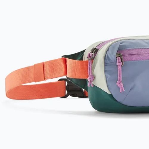 Krepšys ant juosmens Patagonia Terravia Mini Hip patchwork / barnacle blue