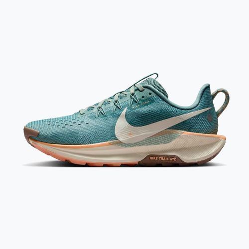 Moteriški bėgimo batai Nike Pegasus Trail 5 cannon / soft pearl / mink brown