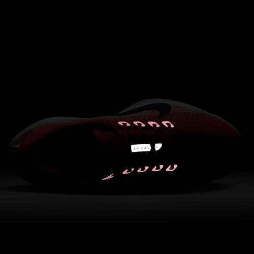 Moteriški bėgimo batai Nike Pegasus Plus bright crimson / deep royal blue / silt red