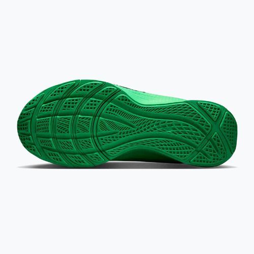 Vyriški treniruočių bateliai Nike LeBron TR 1 green strike/fir/green shock