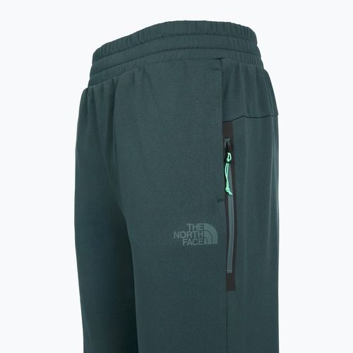 Moteriškos kelnės The North Face Mountain Athletics Fleece deep cypress/space