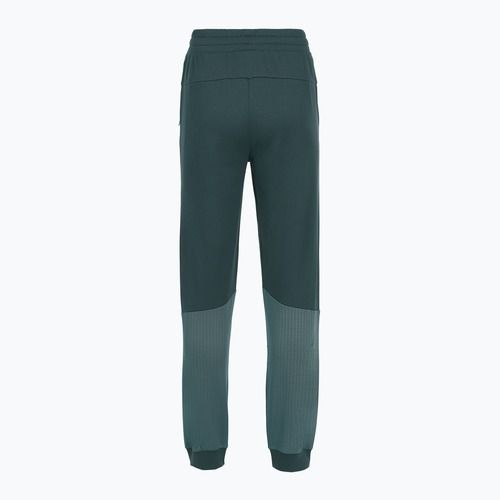 Moteriškos kelnės The North Face Mountain Athletics Fleece deep cypress/space