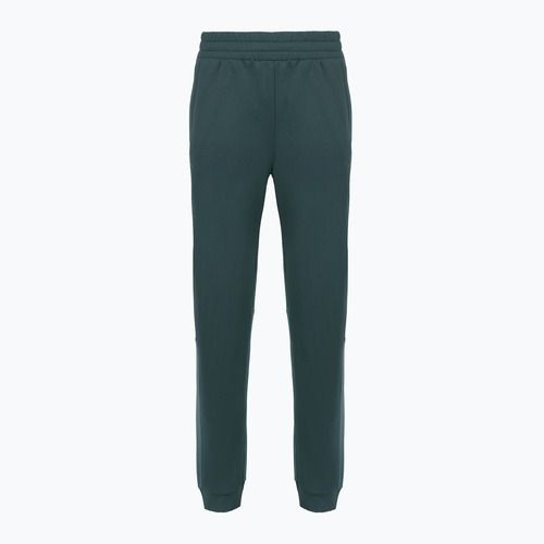 Moteriškos kelnės The North Face Mountain Athletics Fleece deep cypress/space