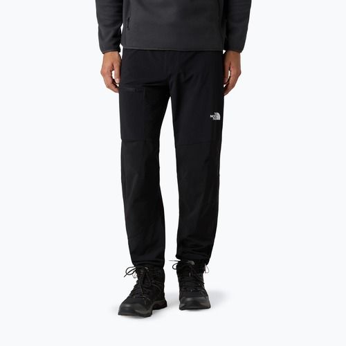 Vyriškos softshell kelnės The North Face Speedlight Regular black