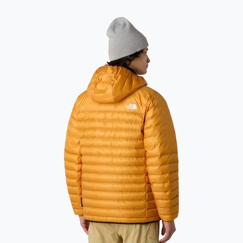 Vyriška striukė The North Face Terra Peak Hoodie citrine yellow