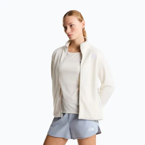 Moteriškas fliso džemperis The North Face Glacier Fleece white dune