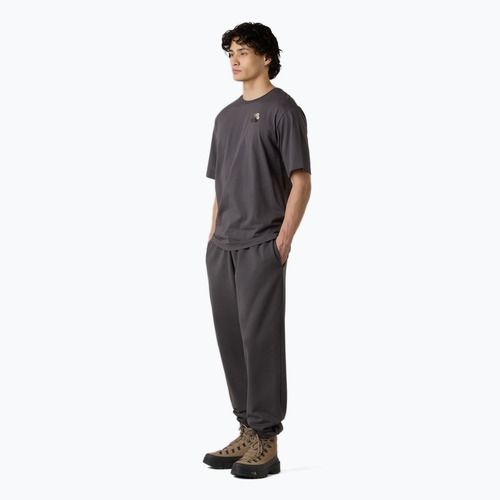 Vyriški marškinėliai The North Face Flower Dome Relaxed Graphic anthracite grey