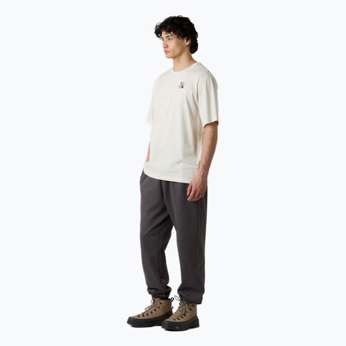 Vyriški marškinėliai The North Face Flower Dome Relaxed Graphic white dune