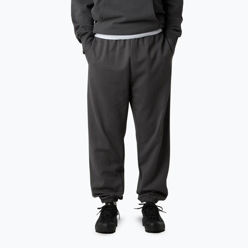 Vyriškos kelnės The North Face Expedition Celebration Relaxed Jogger Reg anthracite grey