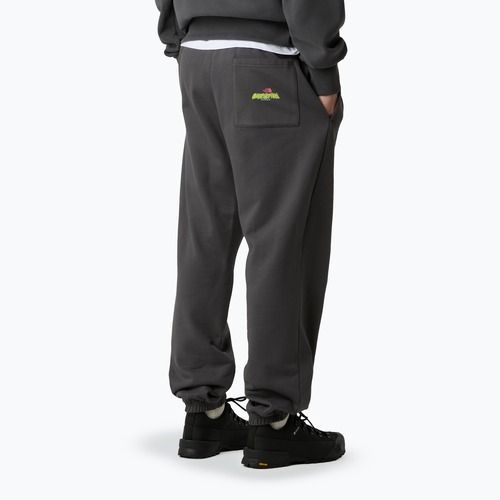 Vyriškos kelnės The North Face Expedition Celebration Relaxed Jogger Reg anthracite grey