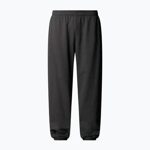 Vyriškos kelnės The North Face Expedition Celebration Relaxed Jogger Reg anthracite grey