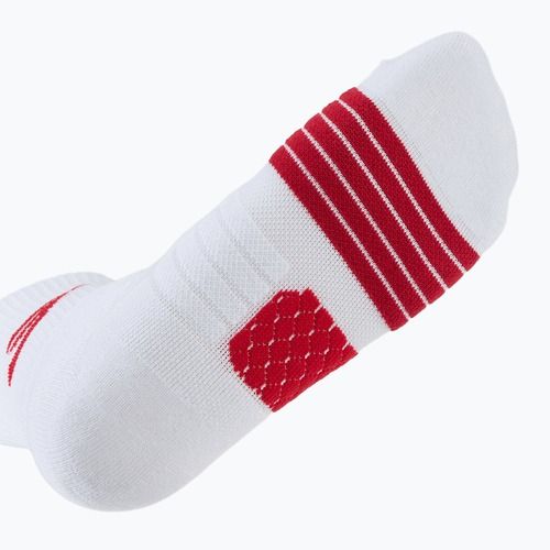 Vyriškos kojinės SKECHERS Select Terry Crew 2 poros red
