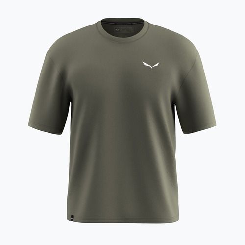 Vyriški marškinėliai Salewa Eagle Glacier Loose faded green
