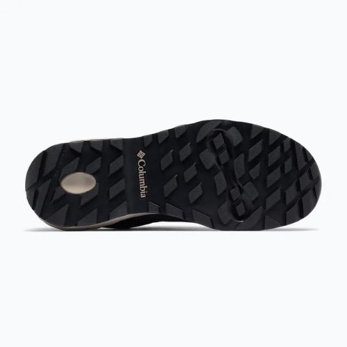 Vyriški žygio batai Columbia Newton Nimble Leather black/kettle