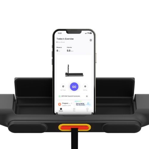 Elektrinis bėgimo takelis Kingsmith Z3 Hybrid+ silver/black