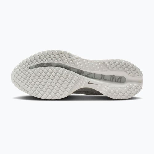 Moteriški bėgimo batai Nike Pegasus Premium ESS summit white/pure platinum/white