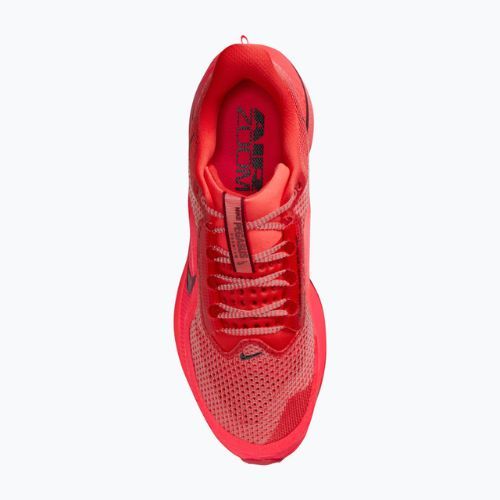 Vyriški bėgimo batai Nike Pegasus Premium light crimson/bright crimson/black/team red