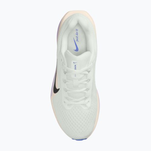 Moteriški bėgimo bateliai Nike Winflo 11 summit white/violet mist/sapphire/black