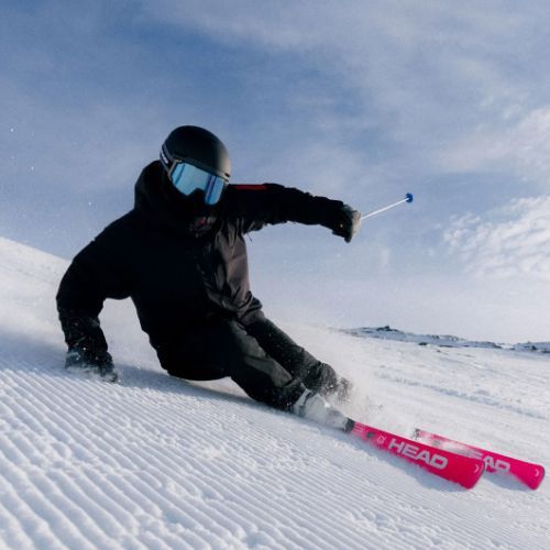 Kalnų slidės HEAD WC Rebels e-Race Pro RP WCR 14 + apkaustai Freeflex 14 GW 75 Years pink