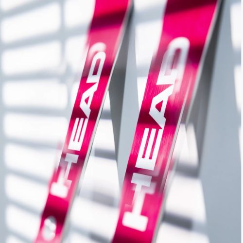 Kalnų slidės HEAD WC Rebels e-Race Pro RP WCR 14 + apkaustai Freeflex 14 GW 75 Years pink