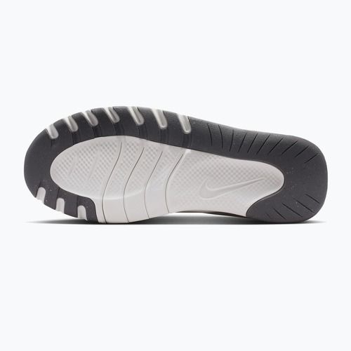 Moteriški sportiniai bateliai Nike Flex Train sail/chalk/pencil point/white