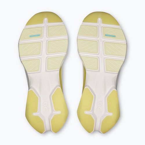 Moteriški treniruočių batai On Running Cloudpulse 2 Ice/Limelight