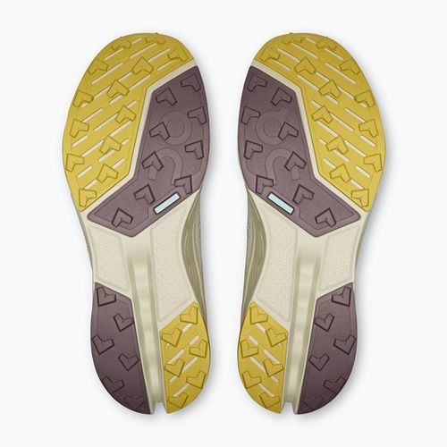 Moteriški bėgimo bateliai On Running Cloudsurfer Trail 2 Waterproof ghost/chalk