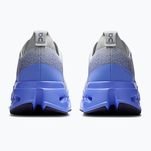 Vyriški bėgimo batai On Cloudsurfer Max wolf/sailor