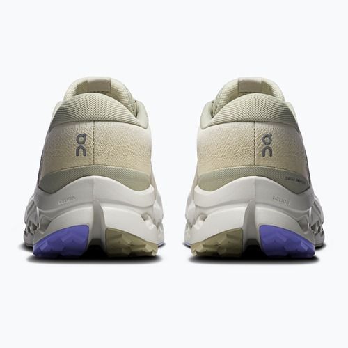 Vyriški bėgimo bateliai On Running Cloudsurfer Trail 2 Waterproof ghost/chalk