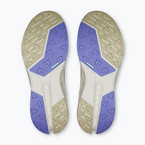 Vyriški bėgimo bateliai On Running Cloudsurfer Trail 2 Waterproof ghost/chalk