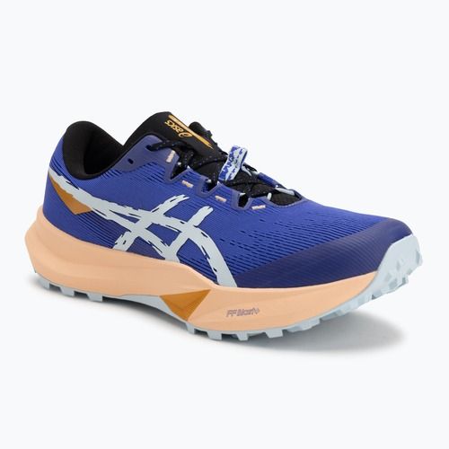 Vyriški bėgimo bateliai ASICS Fuji Lite 6 cobalt burst/cool grey