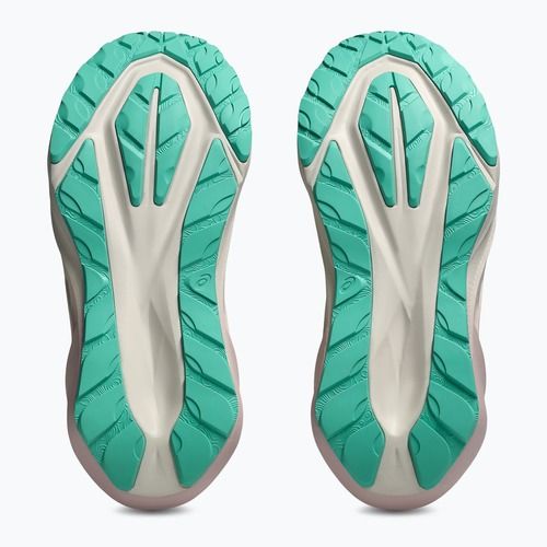 Moteriški bėgimo batai ASICS Novablast 5 TR light dust/cacti